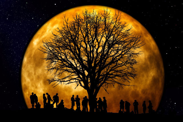 When it came time to select a logo for Codex, the choice was bound by only one rule: